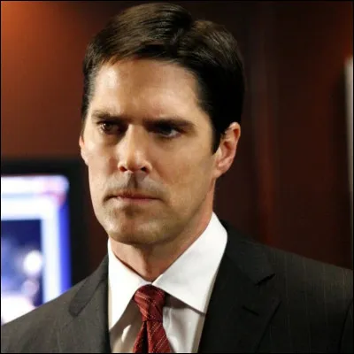 Quel métier exerçait Aaron Hotchner avant dintégrer le FBI ?