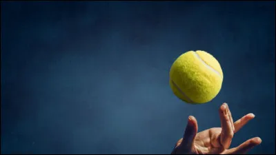 Quel joueur de tennis est devenu chanteur après sa retraite du tennis ?