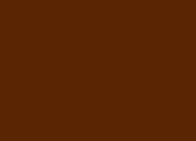 Quiz Les couleurs : marron