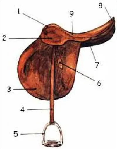 Comment sappelle la partie n°1 de la selle ?