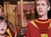 Test Joues-tu au quidditch ?