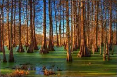 Il est né le 4 août 1901 en Louisiane.