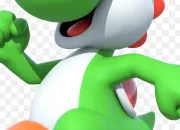 Test Es-tu un Yoshi ?