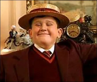 Quels sont les prénoms des Dursley ?