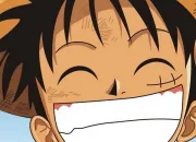 Test Quel personnage de l'quipage de Luffy es-tu ?