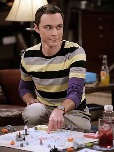 De quel État vient Sheldon ?