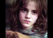 Test Pourrais-tu tre ami avec Hermione Granger ?