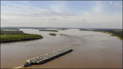 Ce grand fleuve de 4 000 km, qui s'écoule des hauts plateaux brésiliens vers l'Argentine pour se jeter dans l'océan Atlantique, c'est le ...