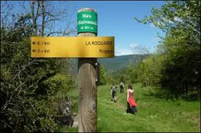 Tu vois un sentier de randonnée devant toi, le panneau d'affichage indique que le parcours fait 20 km à pied. Que décides-tu de faire ?