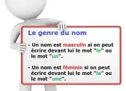 Quiz Genre fminin ou masculin de noms de A  Z