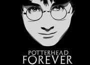 Quiz Seul un vrai potterhead aura 10/10  ce quiz !