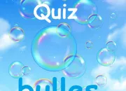 Quiz Quiz ''bulles''