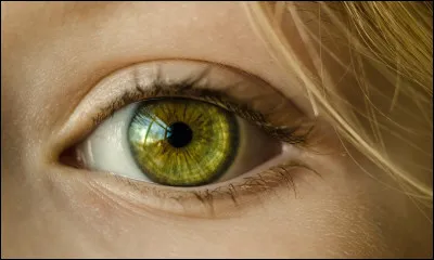 De quelle couleur sont tes yeux ?