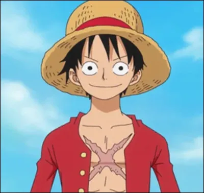 Commençons avec le personnage le plus connu, Monkey D Luffy ! Que lui manque-t-il ?