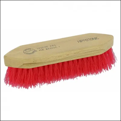 Comment s’appelle cette brosse ?