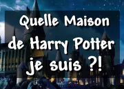 Test Harry Potter - Test de maison