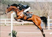 Quiz Galop 1