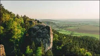 Histoire : Avec quel autre pays, la République tchèque formait-elle la Tchécoslovaquie ?