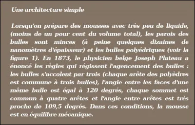 2013 > Psychologie > Décerné à M. Bègue du Laboratoire inter-universitaire de psychologie (Lip) de Grenoble, pour son étude titrée "Beauty is in the eye of the beer holder"*, démontrant que ... (Complétez !)