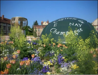 Quelle est cette ville de la Marne, capitale mondiale du vin de Champagne ?