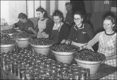 Dans quel département, la première fabrique de marrons glacés a-t-elle logiquement été créée ? (photo non contractuelle)