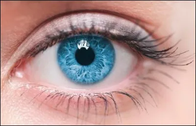 Quelle est la couleur de tes yeux ?