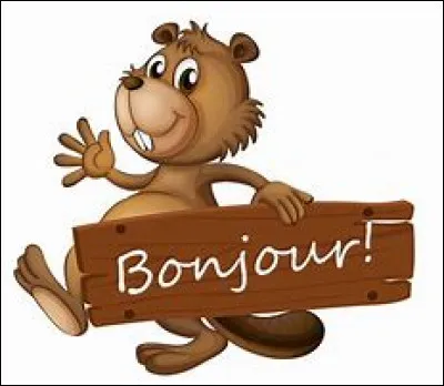 Comment dit-on "bonjour" en anglais ?