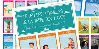 Combien y a-t-il de cartes dans le jeu des 7 familles ?