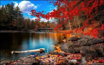 Comment dit-on "octobre" en anglais ?