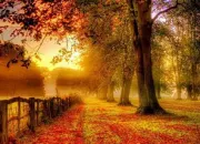 Quiz Playlist de l'automne (9)