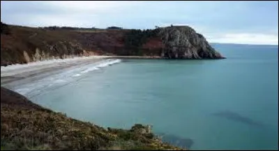 De quelle couleur sont les algues mortelles que l'on trouve dans huit baies du littoral breton ?