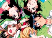 Quiz Les cls - Nisekoi