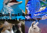 Test Quel est ton animal totem ?