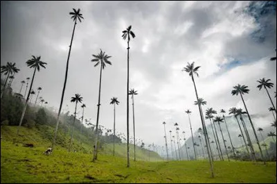 Quelle est la devise de la Colombie ?