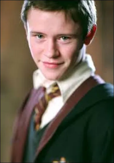 Quel est le statut de sang de Seamus Finnigan ?