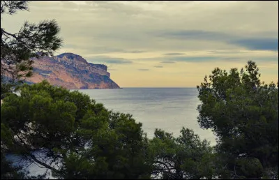 Les falaises Soubeyranes de Cassis sont les plus hautes falaises maritimes...