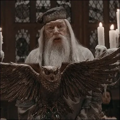 Quel est le nom complet d'Albus Dumbledore ?