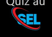 Quiz Quiz au sel