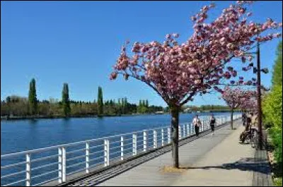 Commençons simplement, quel est le fleuve qui traverse Vichy ?