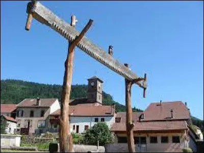 Je vous propose de commencer notre balade dans le Grand-Est, à Allarmont. Village de la vallée de la Plaine, pratiquement au pied du Donon, il se situe dans le département ...