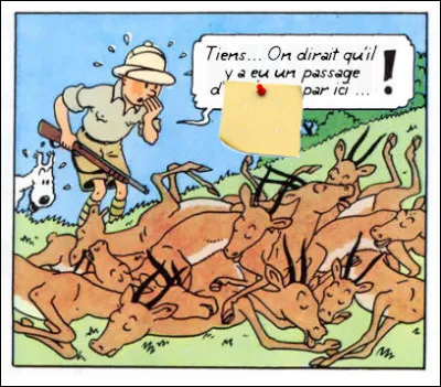 Belge accro à la chasse, Tintin ? Bel acronyme ! Indice : sur nos écrans depuis 1979 ! Quel est cet acronyme ?