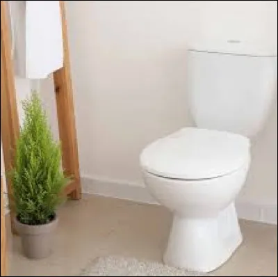 Les toilettes servent à se reposer.