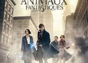 Test Quel personnage des ''Animaux fantastiques'' es-tu ?