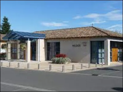 Commune de l'arrondissement de Blaye, Cubnezais se situe dans le département ...