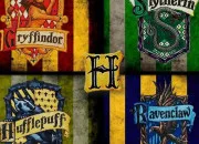 Test Dans quelle maison de ''Harry Potter'' es-tu ?