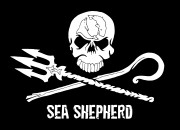 Quiz Sea Shepherd