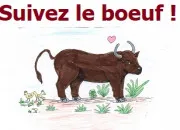 Quiz Suivez le boeuf !