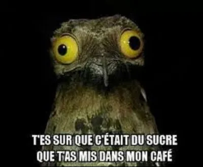 Selon la légende, en 456 av. J.-C. quel dramaturge grec serait mort à cause d'un rapace, apparemment un gypaète barbu, qui lâcha la tortue qu'il tenait dans ses serres sur son crâne chauve en le confondant avec une pierre ?