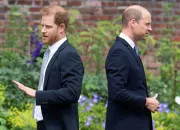 Quiz William, Harry ou les deux ?