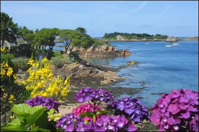 La Manche baigne les côtes de l'archipel de Bréhat.